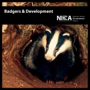 Badgers and development (revised November 2011)