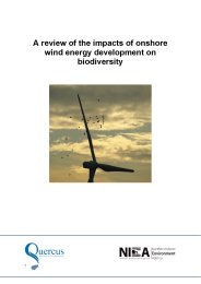 Review of the impacts of onshore wind energy development on biodiversity