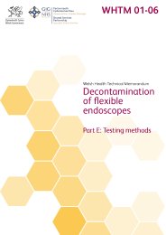 Decontamination of flexible endoscopes. Part E: Testing methods