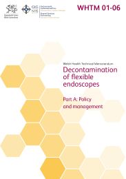 Decontamination of flexible endoscopes. Policy and management