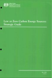 Low or zero carbon energy sources - Strategic guide (1st edition - March 2006)