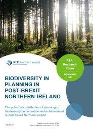 Biodiversity in planning in post-Brexit Northern Ireland
