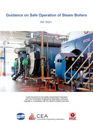 Guidance on safe operation of steam boilers. Edition 2
