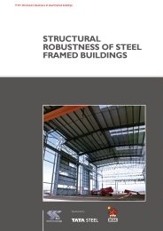 Structural robustness of steel framed buildings