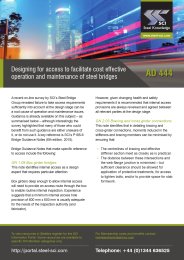 Designing for access to facilitate cost effective operation and maintenance of steel bridges