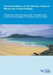 Recommendations of the advisory group on marine and coastal strategy - a follow up to Seas the opportunity: a strategy for the long term sustainability of Scotland's coasts and seas
