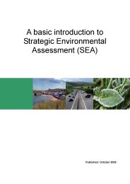 Basic introduction to strategic environmental assessment (SEA)