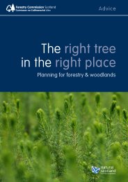 The right tree in the right place - planning for forestry and woodlands