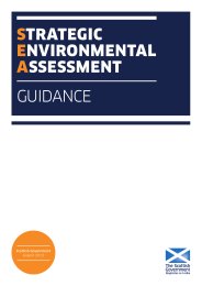 Strategic environmental assessment - guidance