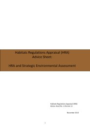 Habitats regulations appraisal (HRA) advice sheet - HRA and strategic environmental assessment. Version 1