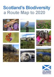 Scotland's biodiversity - a route map to 2020