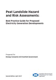 Peat landslide hazard and risk assessments - best practice guide for proposed electricity generation developments. 2nd edition