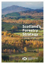 Scotland's forestry strategy 2019-2029