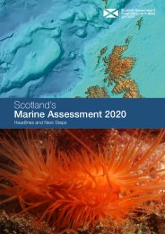 Scotland's marine assessment 2020. Headlines and next steps