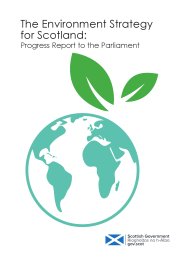 Environment strategy for Scotland: progress report to the Parliament