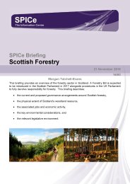 Scottish forestry
