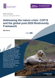 Addressing the nature crisis: COP15 and the global post-2020 biodiversity framework