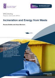 Incineration and energy from waste