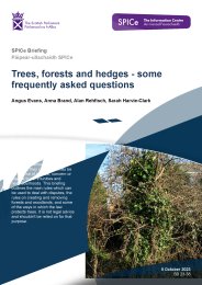 Trees, forests and hedges - some frequently asked questions