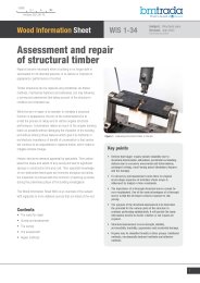 Assessment and repair of structural timber