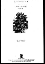 Old trees