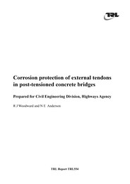Corrosion protection of external tendons in post-tensioned concrete bridges