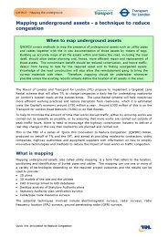 Mapping underground assets - a technique to reduce congestion