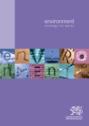 Environment strategy for Wales