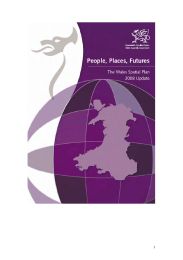 People, places, futures - the Wales spatial plan: 2008 update