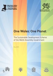 One Wales: one planet. The sustainable development scheme of the Welsh Assembly Government