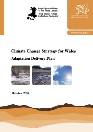 Climate change strategy for Wales - adaptation delivery plan