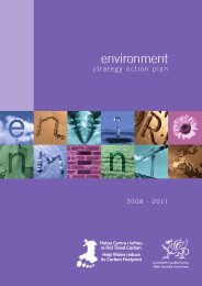 Environment strategy action plan 2008-2011 (second action plan)