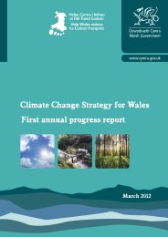 Climate change strategy for Wales - first annual progress report