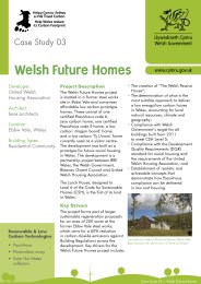 Welsh Future Homes