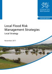 Local flood risk management strategies - local strategy: November 2011