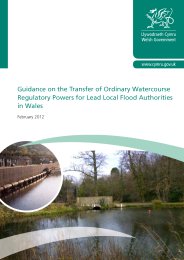 Guidance on the transfer of ordinary watercourse regulatory powers for lead local flood authorities in Wales: February 2012