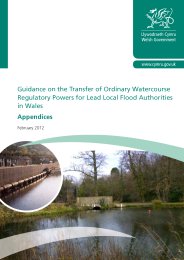 Guidance on the transfer of ordinary watercourse regulatory powers for lead local flood authorities in Wales: Appendices: February 2012