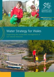 Water strategy for Wales - supporting the sustainable management of our natural resources