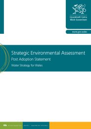 Strategic environmental assessment - post adoption statement: water strategy for Wales