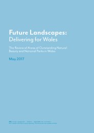 Future landscapes: delivering for Wales - the review of Areas of Outstanding National Beauty and national parks in Wales