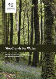 Woodlands for Wales - the Welsh Government's strategy for woodlands and trees