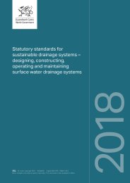 Statutory standards for sustainable drainage systems - designing, constructing, operating and maintaining surface water drainage systems