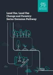 Land use, land use change and forestry: sector emission pathway