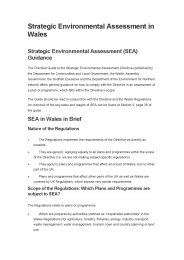 Strategic environmental assessment in Wales