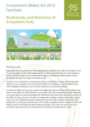 Environment (Wales) Act 2016 factsheet - biodiversity and resilience of ecosystems duty