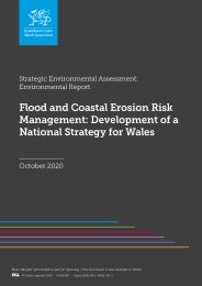Strategic environment assessment: environmental report. Flood and coastal erosion risk management: development of a national strategy for Wales