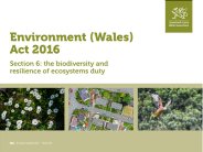 Environment (Wales) Act 2016. Section 6: the biodiversity and resilience of ecosystems duty