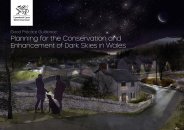 Good practice guidance: planning for the conservation and enhancement of dark skies in Wales