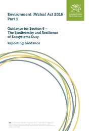Environment (Wales) Act 2016 part 1. Guidance for section 6 - the biodiversity and resilience of ecosystems duty. Reporting guidance