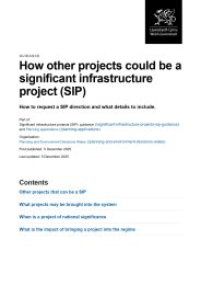 How other projects could be a significant infrastructure project (SIP)